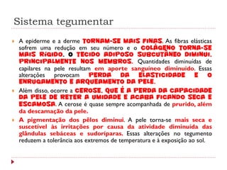 Sistema tegumentar
   A epiderme e a derme tornam-se mais finas. As fibras elásticas
    sofrem uma redução em seu número e o colágeno torna-se
    mais rígido. O tecido adiposo subcutâneo diminui,
    principalmente nos membros. Quantidades diminuídas de
    capilares na pele resultam em aporte sanguíneo diminuído. Essas
    alterações provocam perda da elasticidade e o
    enrugamento e arqueamento da pele.
   Além disso, ocorre a cerose, que é a perda da capacidade
    da pele de reter a umidade e acaba ficando seca e
    escamosa. A cerose é quase sempre acompanhada de prurido, além
    da descamação da pele.
   A pigmentação dos pêlos diminui. A pele torna-se mais seca e
    suscetível às irritações por causa da atividade diminuída das
    glândulas sebáceas e sudoríparas. Essas alterações no tegumento
    reduzem a tolerância aos extremos de temperatura e à exposição ao sol.
 