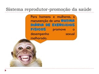 Sistema reprodutor-promoção da saúde
            Para homens e mulheres, a
             manutenção de uma rotina
             diária de exercícios
             físicos      promove    o
             desempenho          sexual
             melhorado.
 
