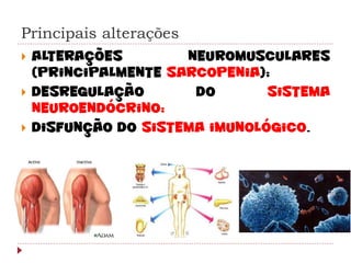 Principais alterações
   Alterações        neuromusculares
    (principalmente sarcopenia);
   Desregulação       do       sistema
    neuroendócrino;
   Disfunção do sistema imunológico.
 