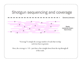 Shotgun sequencing and coverage
Genome (unknown)
X
X
X
X
X
X
X
X
X
X
X
X
X
X
Reads
(randomly chosen;
have errors)
X
XX
“Coverage” is simply the average number of reads that overlap
each true base in genome.
Here, the coverage is ~10 – just draw a line straight down from the top through all
of the reads.
 
