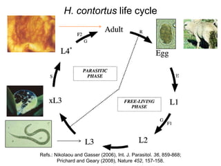 H. contortus life cycle
Refs.: Nikolaou and Gasser (2006), Int. J. Parasitol. 36, 859-868;
Prichard and Geary (2008), Nature 452, 157-158.
 