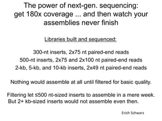 The power of next-gen. sequencing:
get 180x coverage ... and then watch your
assemblies never finish
Libraries built and sequenced:
300-nt inserts, 2x75 nt paired-end reads
500-nt inserts, 2x75 and 2x100 nt paired-end reads
2-kb, 5-kb, and 10-kb inserts, 2x49 nt paired-end reads
Nothing would assemble at all until filtered for basic quality.
Filtering let ≤500 nt-sized inserts to assemble in a mere week.
But 2+ kb-sized inserts would not assemble even then.
Erich Schwarz
 