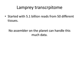 Lamprey transcrpitome
• Started with 5.1 billion reads from 50 different
tissues.
No assembler on the planet can handle this
much data.
 