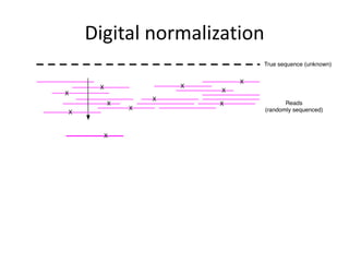 Digital normalization
 