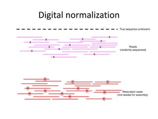 Digital normalization
 