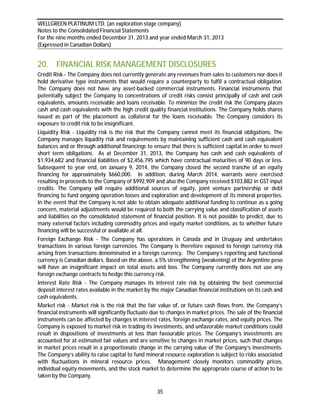 2013 Wellgreen Platinum Annual MD&A & Annual Financial Statements