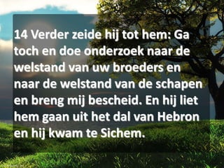14 Verder zeide hij tot hem: Ga
toch en doe onderzoek naar de
welstand van uw broeders en
naar de welstand van de schapen
en breng mij bescheid. En hij liet
hem gaan uit het dal van Hebron
en hij kwam te Sichem.

 