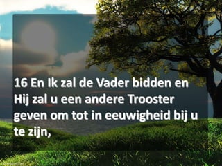 16 En Ik zal de Vader bidden en
Hij zal u een andere Trooster
geven om tot in eeuwigheid bij u
te zijn,

 