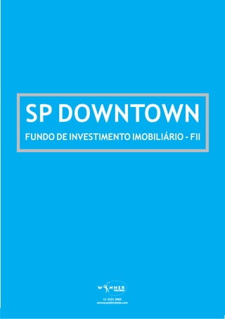 20130115  prospecto preliminar