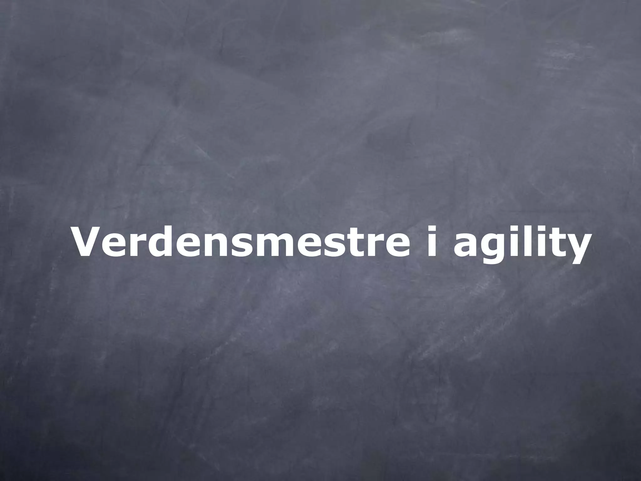 Verdensmestre i agility
 