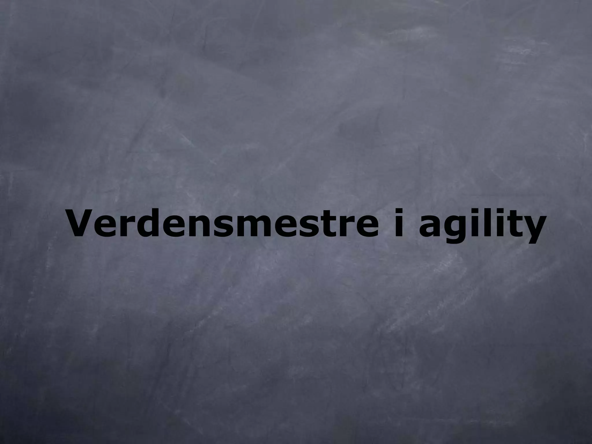 Verdensmestre i agility
 