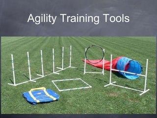 Agility Training Tools
 