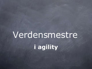 mestreVerdens
i agility
 