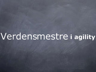 mestreVerdens i agility
 