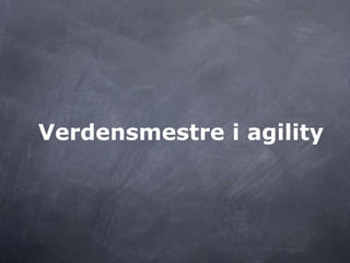 Verdensmestre i agility
 