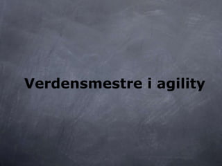 Verdensmestre i agility
 