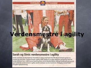 Verdensmestre i agility
 