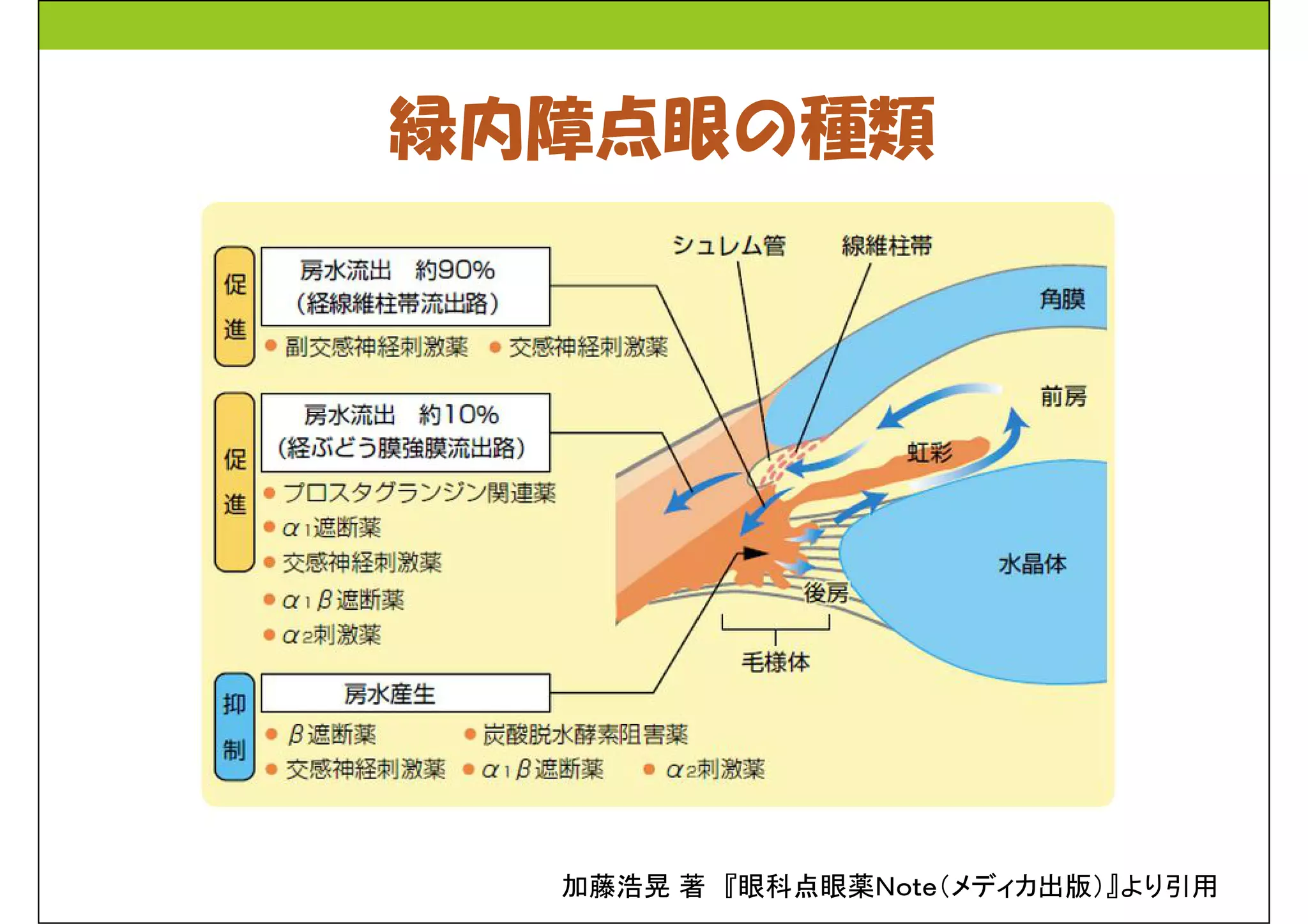 緑内障点眼の種類 
加藤浩晃著『眼科点眼薬Ｎｏｔｅ（メディカ出版）』より引用 
 