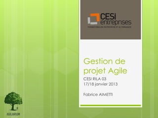 Gestion de
projet Agile
CESI RILA 03
17/18 janvier 2013

Fabrice AIMETTI
 