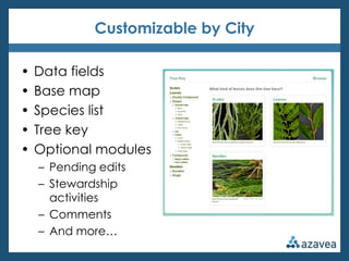 Customizable by City

•   Data fields
•   Base map
•   Species list
•   Tree key
•   Optional modules
    – Pending edits
    – Stewardship
      activities
    – Comments
    – And more…
 