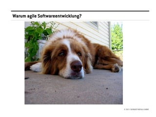 Warum agile Softwareentwicklung?




                                   © 2013 //SEIBERT/MEDIA GMBH
 
