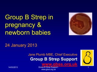 Group B Strep in
pregnancy &
newborn babies
24 January 2013
Jane Plumb MBE, Chief Executive
Group B Strep Support
www.gbss.org.uk
14/03/2013 Group B Strep Support :
www.gbss.org.uk
1
 