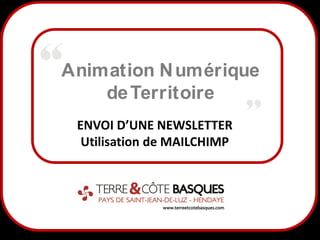 Animation N umérique
de Territoire
ENVOI D’UNE NEWSLETTER
Utilisation de MAILCHIMP

1

 