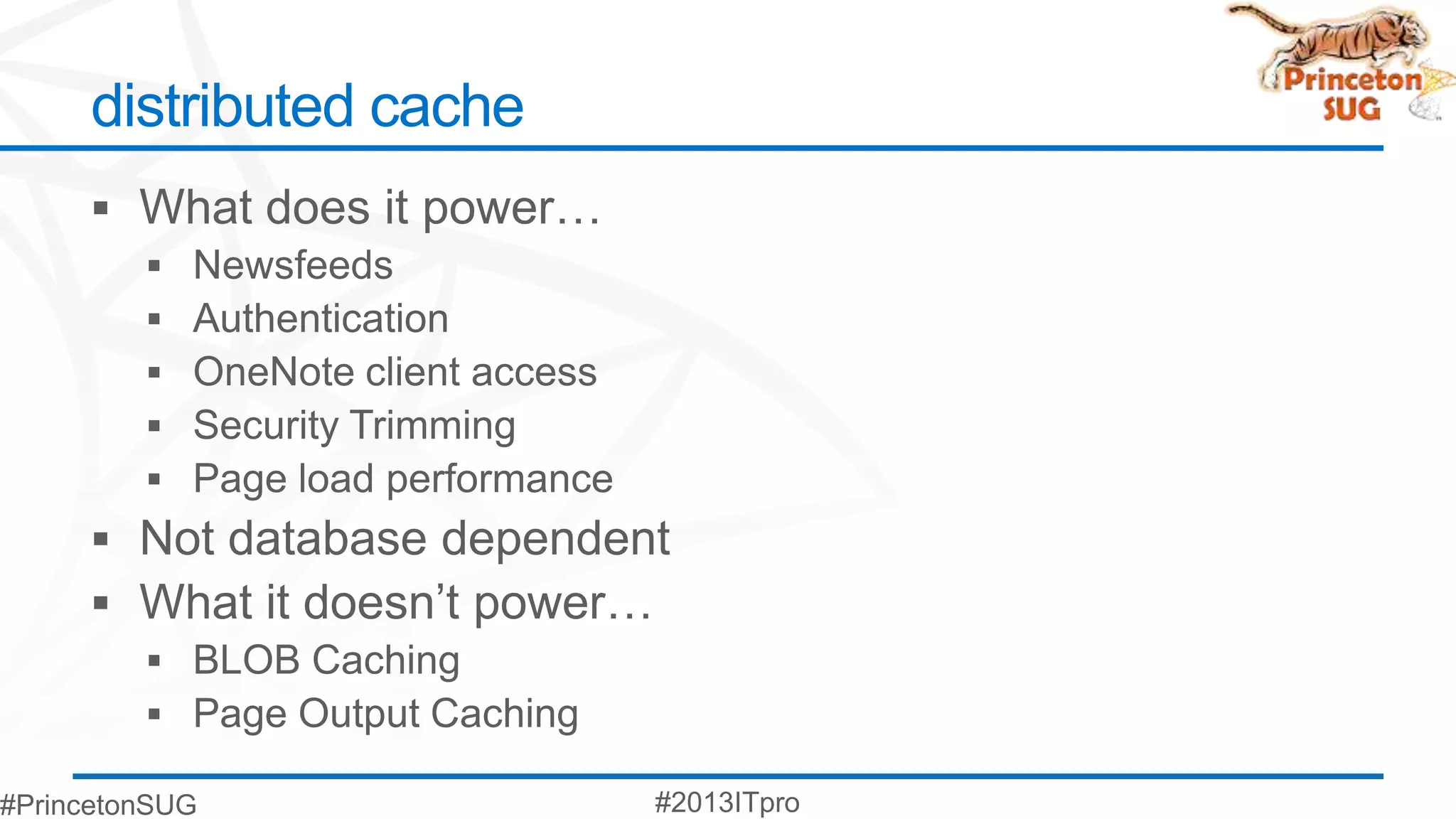 distributed cache
 