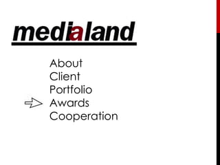 Medialand 2013