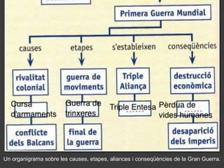 Un organigrama sobre les causes, etapes, aliances i conseqüències de la Gran Guerra.
 