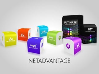 NETADVANTAGE
 