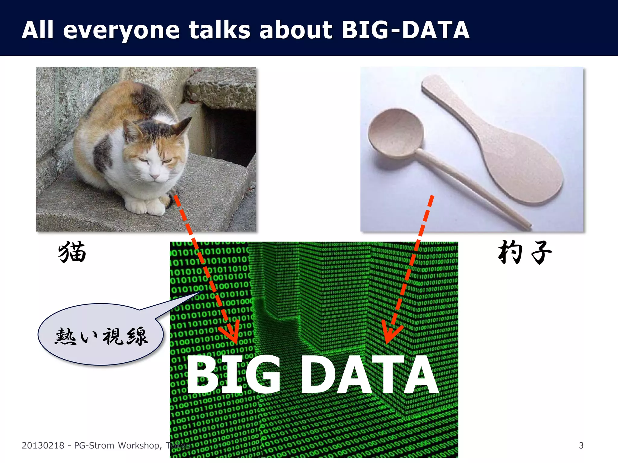 All everyone talks about BIG-DATA




       猫                                    杓子

      熱い視線

                                 BIG DATA
20130218 - PG-Strom Workshop, Tokyo              3
 