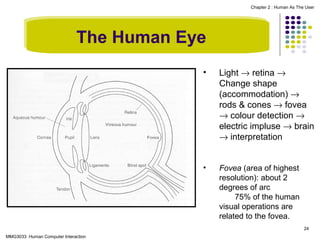Chapter 2 : Human As The User

The Human Eye
•

Light → retina →
Change shape
(accommodation) →
rods & cones → fovea
→ colour detection →
electric impluse → brain
→ interpretation

•

Fovea (area of highest
resolution): about 2
degrees of arc
75% of the human
visual operations are
related to the fovea.
24

MMG3033 Human Computer Interaction

 