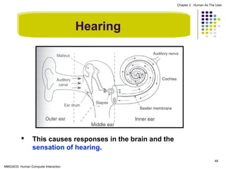 Chapter 2 : Human As The User

Hearing



This causes responses in the brain and the
sensation of hearing.
48

MMG3033 Human Computer Interaction

 