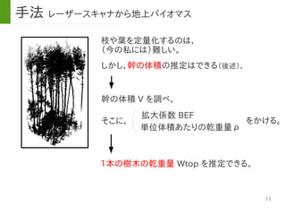 11
枝や葉を定量化するのは，
（今の私には）難しい。
幹の体積 V を調べ，
しかし，幹の体積の推定はできる（後述）。
拡大係数 BEF
をかける。そこに，
単位体積あたりの乾重量ρ
1本の樹木の乾重量 Wtop を推定できる。
手法 レーザースキャナから地上バイオマス
 