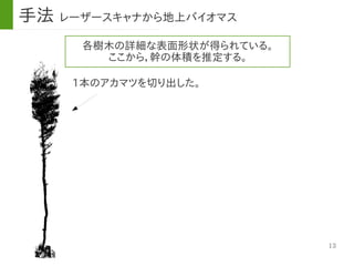 13
各樹木の詳細な表面形状が得られている。
ここから，幹の体積を推定する。
1本のアカマツを切り出した。
手法 レーザースキャナから地上バイオマス
 