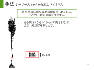 14
各樹木の詳細な表面形状が得られている。
ここから，幹の体積を推定する。
ある高さ （から +10 cmの高さまで）に
含まれる点群を取り出す。
10 cm
手法 レーザースキャナから地上バイオマス
 
