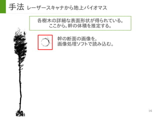 16
各樹木の詳細な表面形状が得られている。
ここから，幹の体積を推定する。
幹の断面の画像を，
画像処理ソフトで読み込む。
手法 レーザースキャナから地上バイオマス
 