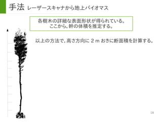 18
各樹木の詳細な表面形状が得られている。
ここから，幹の体積を推定する。
以上の方法で，高さ方向に 2 m おきに断面積を計算する。
手法 レーザースキャナから地上バイオマス
 
