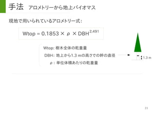 21
現地で用いられているアロメトリー式：
Wtop = 0.1853 × ρ × DBH
ρ： 単位体積あたりの乾重量
Wtop: 樹木全体の乾重量
2.491
1.3 m
DBH： 地上から1.3 mの高さでの幹の直径
手法 アロメトリーから地上バイオマス
 