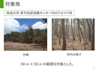 7
筑波大学 菅平高原実験センター内のアカマツ林
対象地
30 m × 30 m の範囲を対象とした。
外観 林内の様子
 