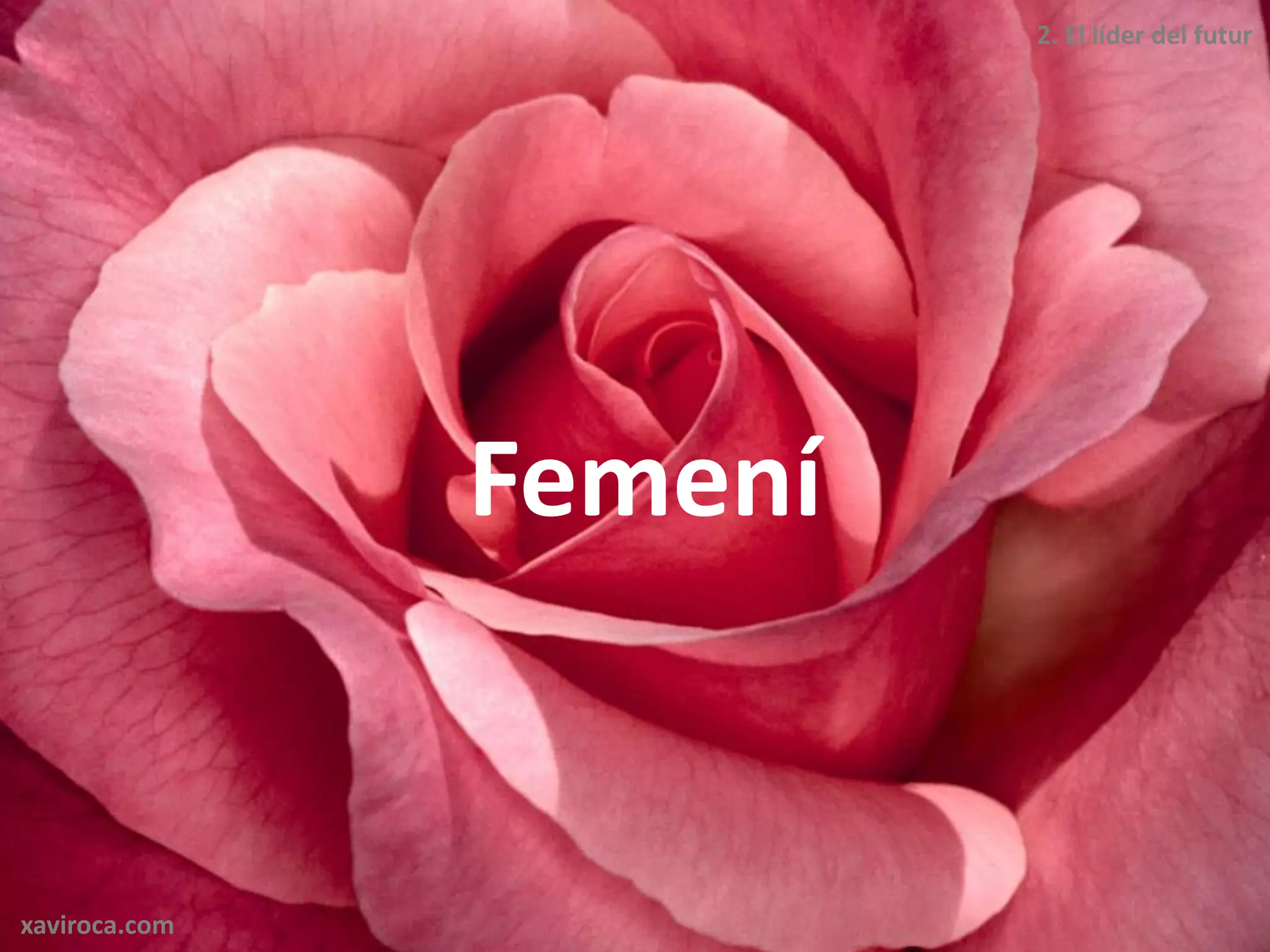 2. El líder del futur




               Femení


xaviroca.com
 