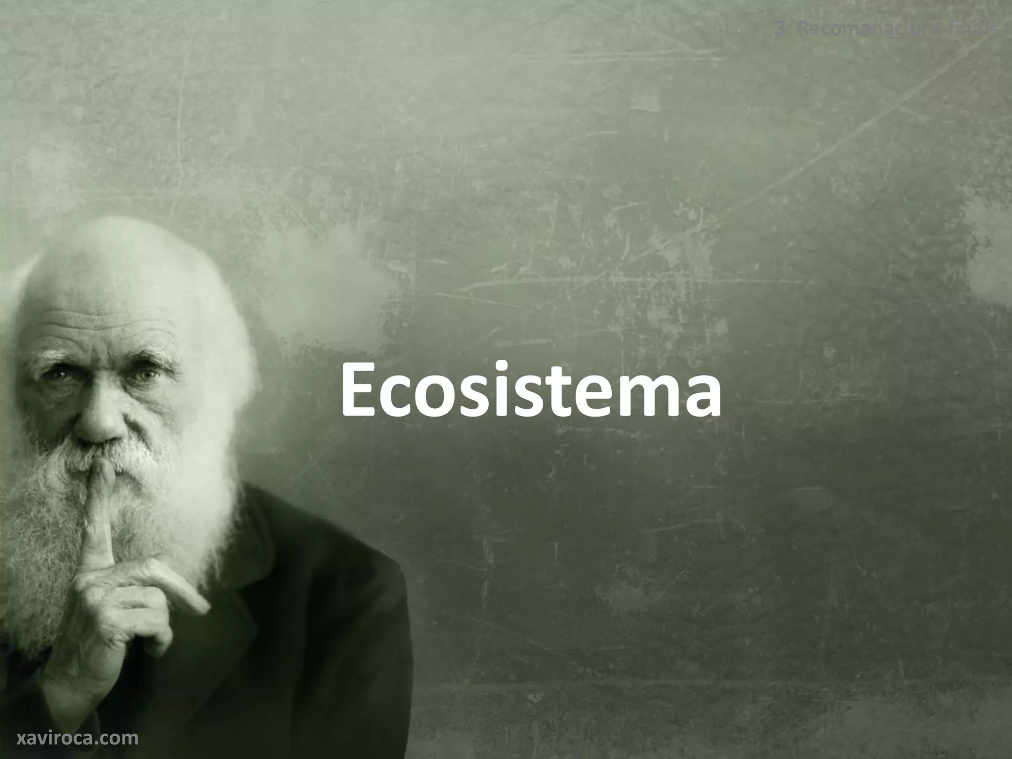 3. Recomanacions finals




               Ecosistema


xaviroca.com
 