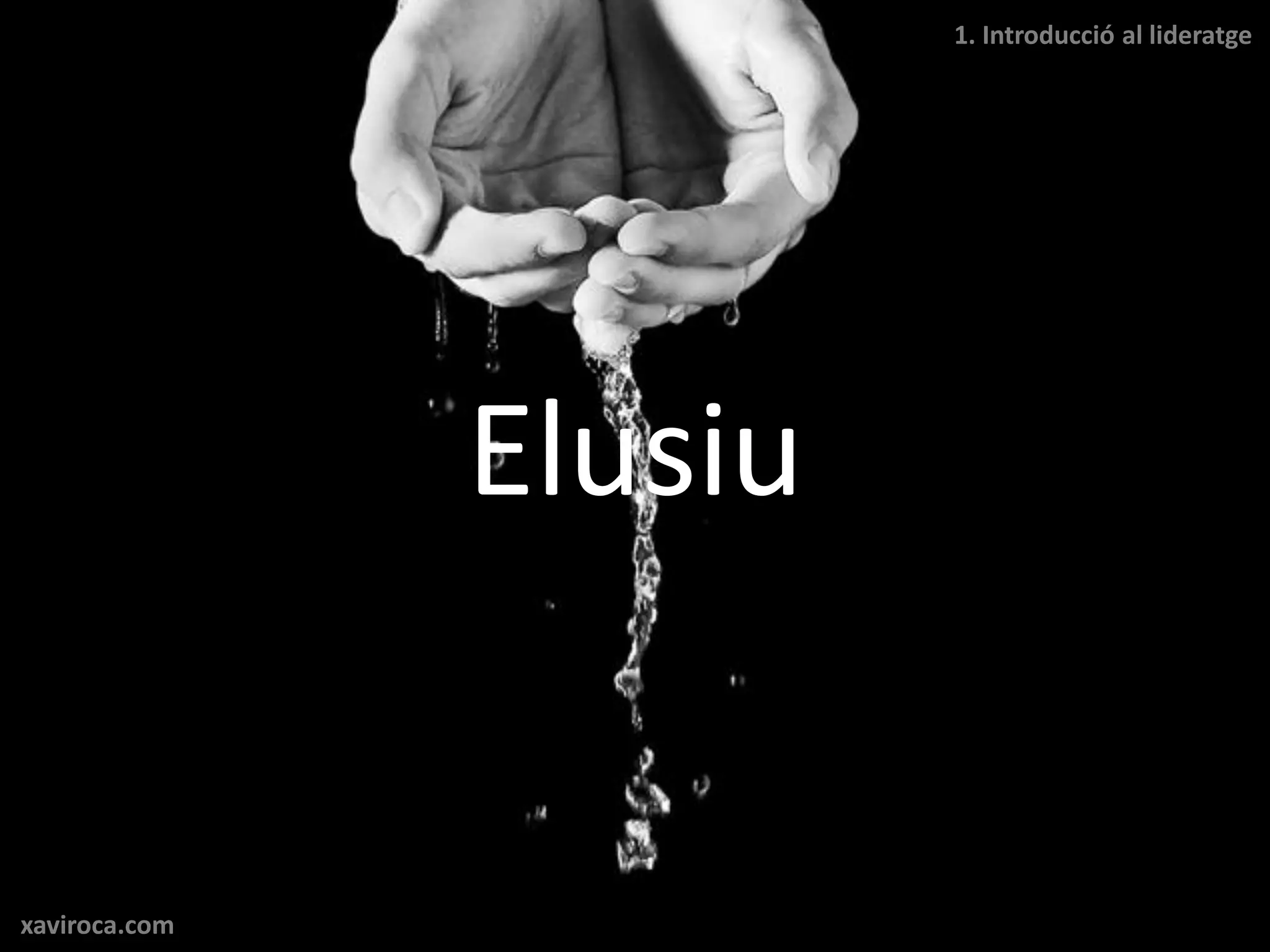 1. Introducció al lideratge




               Elusiu


xaviroca.com
 