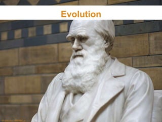 Evolution

© sxc.hu, dimitri_c

 