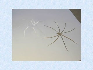  Concours  meilleure 'utilisation de la feuille_blanche