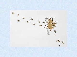  Concours  meilleure 'utilisation de la feuille_blanche