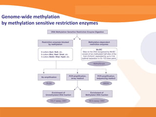 Genome-wide methylation
by methylation sensitive restriction enzymes
 