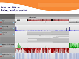 Direction RNAseq
bidirectional promoters




                          33
 