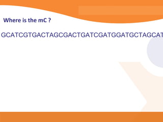 Where is the mC ?

GCATCGTGACTAGCGACTGATCGATGGATGCTAGCAT
 